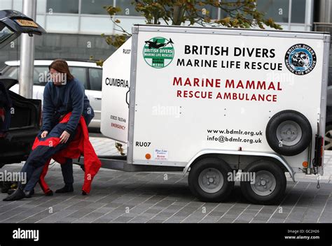 british divers marine life rescue.
